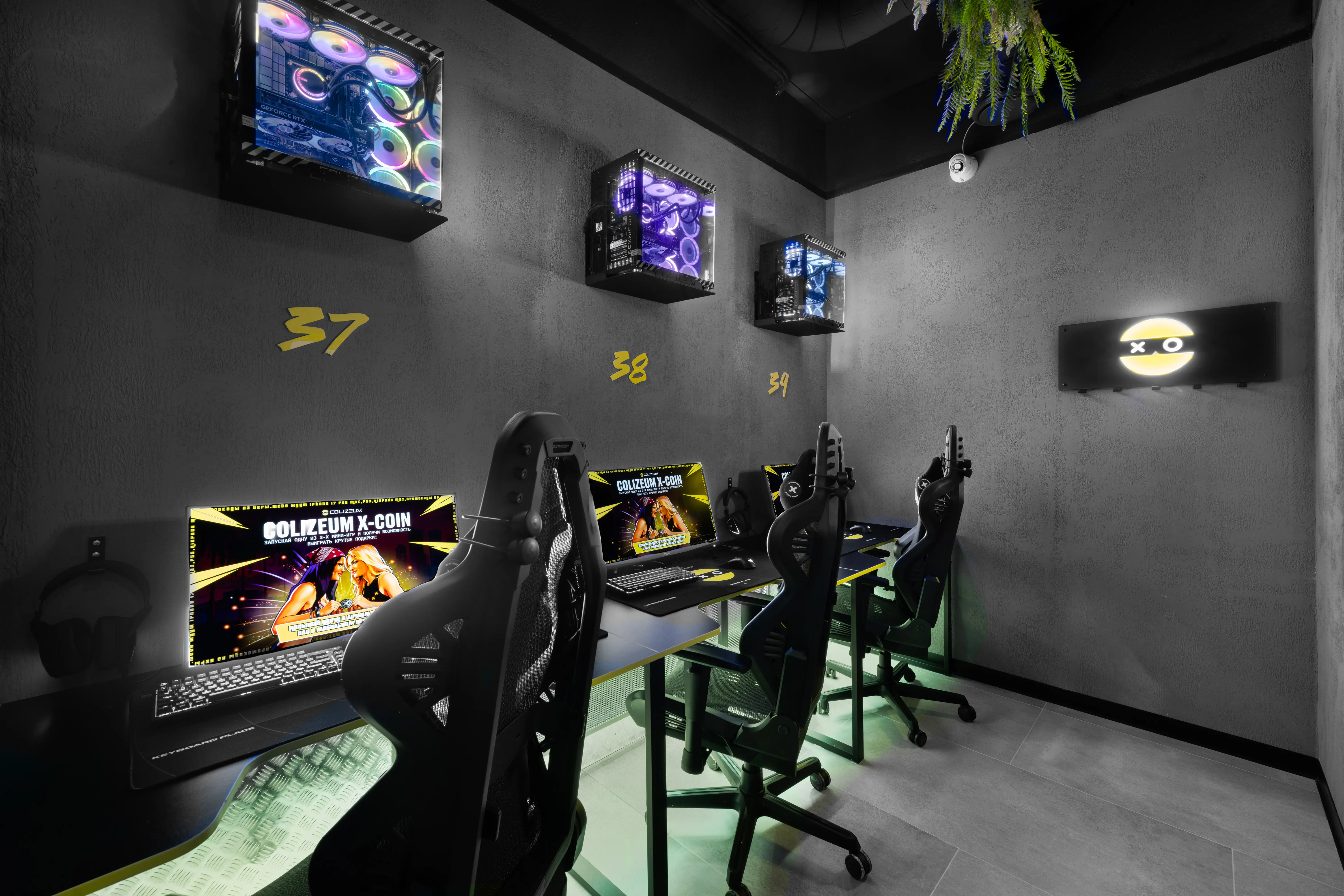 COLIZEUM gallery 7
